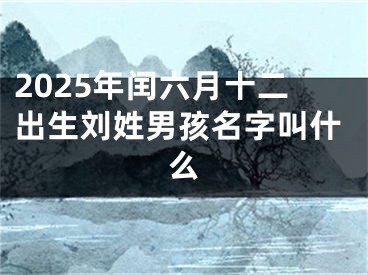 2025年闰六月十二出生刘姓男孩名字叫什么