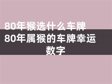 80年猴选什么车牌 80年属猴的车牌幸运数字