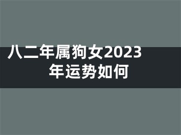 八二年属狗女2023年运势如何