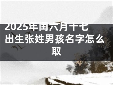 2025年闰六月十七出生张姓男孩名字怎么取