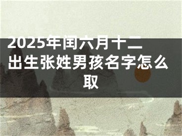 2025年闰六月十二出生张姓男孩名字怎么取