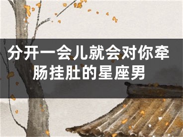 分开一会儿就会对你牵肠挂肚的星座男