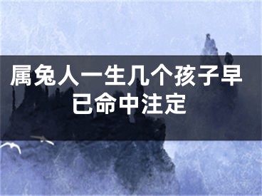 属兔人一生几个孩子早已命中注定