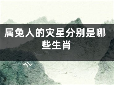 属兔人的灾星分别是哪些生肖