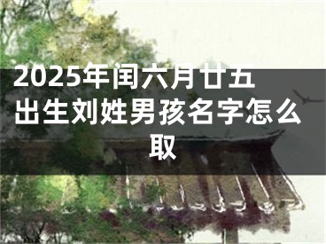 2025年闰六月廿五出生刘姓男孩名字怎么取