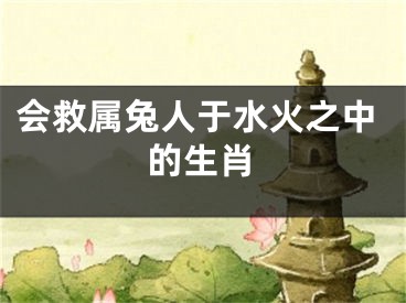 会救属兔人于水火之中的生肖