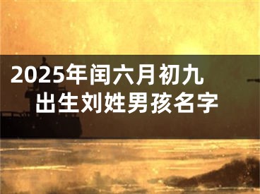 2025年闰六月初九出生刘姓男孩名字