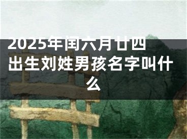 2025年闰六月廿四出生刘姓男孩名字叫什么
