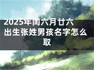 2025年闰六月廿六出生张姓男孩名字怎么取