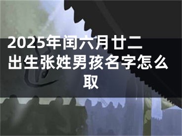 2025年闰六月廿二出生张姓男孩名字怎么取