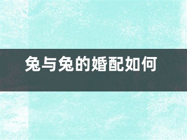 兔与兔的婚配如何