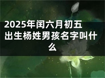 2025年闰六月初五出生杨姓男孩名字叫什么