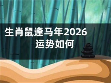 生肖鼠逢马年2026运势如何