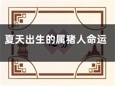 夏天出生的属猪人命运