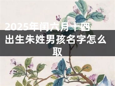 2025年闰六月十四出生朱姓男孩名字怎么取