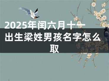 2025年闰六月十一出生梁姓男孩名字怎么取