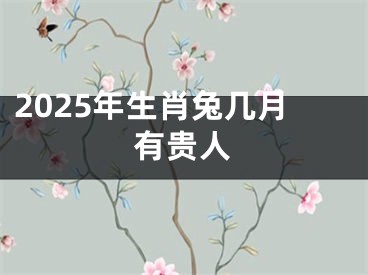 2025年生肖兔几月有贵人