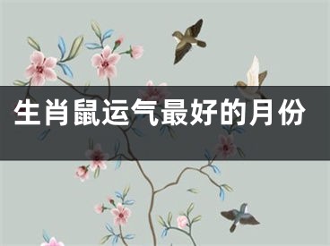 生肖鼠运气最好的月份