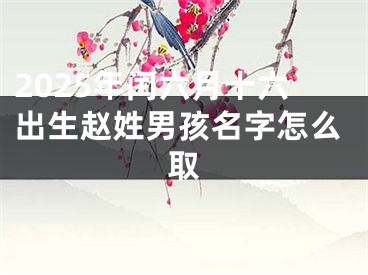 2025年闰六月十六出生赵姓男孩名字怎么取