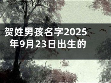 贺姓男孩名字2025年9月23日出生的