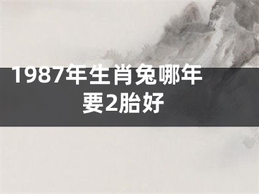 1987年生肖兔哪年要2胎好