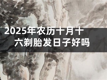 2025年农历十月十六剃胎发日子好吗