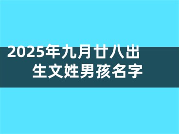 2025年九月廿八出生文姓男孩名字