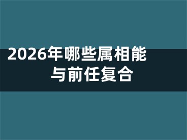 2026年哪些属相能与前任复合