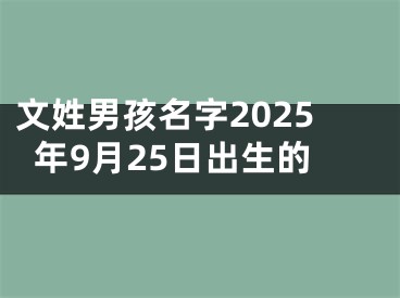 文姓男孩名字2025年9月25日出生的