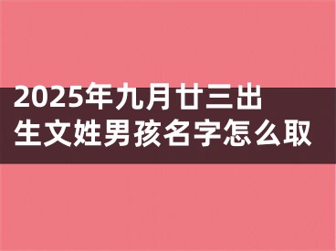 2025年九月廿三出生文姓男孩名字怎么取
