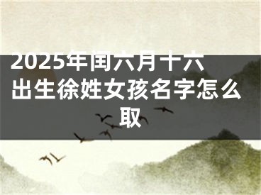 2025年闰六月十六出生徐姓女孩名字怎么取