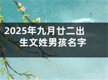 2025年九月廿二出生文姓男孩名字