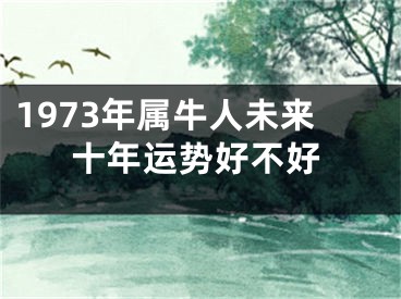 1973年属牛人未来十年运势好不好