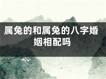属兔的和属兔的八字婚姻相配吗