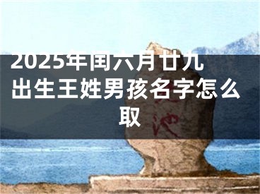 2025年闰六月廿九出生王姓男孩名字怎么取