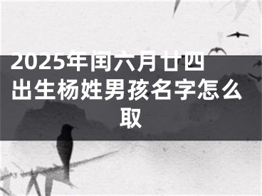 2025年闰六月廿四出生杨姓男孩名字怎么取