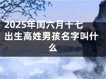 2025年闰六月十七出生高姓男孩名字叫什么