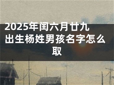 2025年闰六月廿九出生杨姓男孩名字怎么取