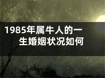 1985年属牛人的一生婚姻状况如何