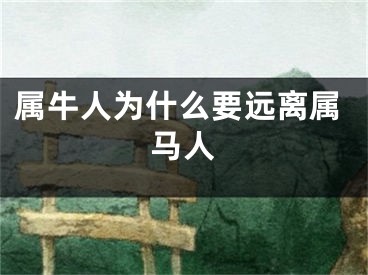 属牛人为什么要远离属马人