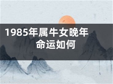 1985年属牛女晚年命运如何