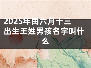 2025年闰六月十三出生王姓男孩名字叫什么
