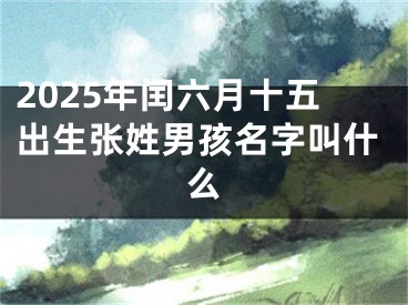 2025年闰六月十五出生张姓男孩名字叫什么
