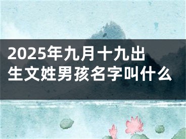 2025年九月十九出生文姓男孩名字叫什么