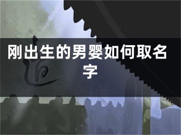 刚出生的男婴如何取名字