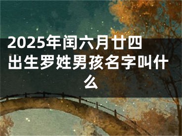 2025年闰六月廿四出生罗姓男孩名字叫什么