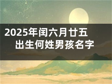 2025年闰六月廿五出生何姓男孩名字