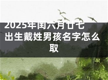 2025年闰六月廿七出生戴姓男孩名字怎么取