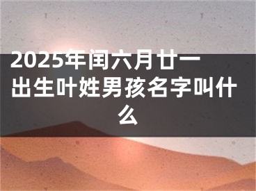 2025年闰六月廿一出生叶姓男孩名字叫什么