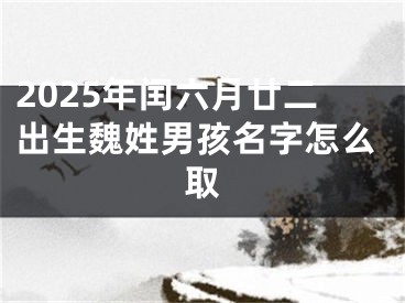2025年闰六月廿二出生魏姓男孩名字怎么取